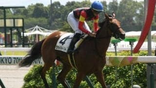 【福島牝馬S予想】前走中山牝馬S組が中心も取り扱いには要注意!? 傾向や展開面で苦戦が予想される人気馬とは