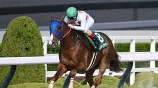 【アンタレスS結果】ミッキーファイトが好位から抜け出し完勝！ 重賞3勝目