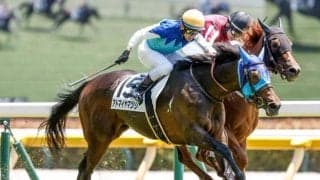 【福島牝馬S前日オッズ】アドマイヤマツリが3.5倍で1番人気