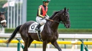 【皐月賞前日オッズ】クロワデュノールが1.5倍で1番人気