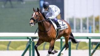 【阪神5R】武豊トッピボーンが4馬身差圧勝