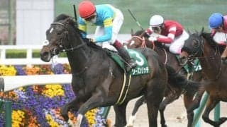 23年毎日杯を制したシーズンリッチが骨折 3か月以上の休養を要する見込み