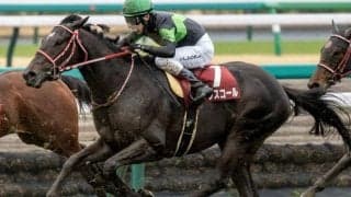 中山芝は超高速馬場 皐月賞はロスなく運べるキングスコールが穴だ
