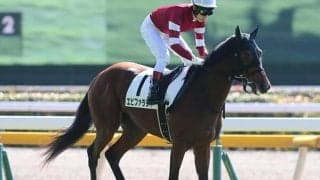 「ウマ娘」藤田晋オーナーの億超えホースが初勝利へ 伯母はデニムアンドルビー