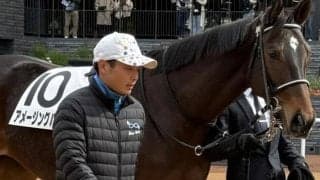 重賞3勝ノースブリッジの半妹 日曜阪神2Rで勝ち上がりを狙う