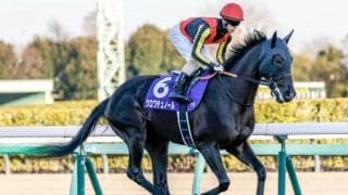 【皐月賞予想】力の比較は近年難しい傾向に 要求される3つの要素とは