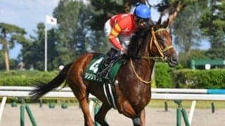 【福島牝馬S予想】機動力を競う牝馬限定戦 勝ち馬にはヴィクトリアマイルの優先出走権も