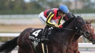 【競馬予想】皐月賞はクロワデュノールの相手探し　好配当見込める「ヒモ」２頭で勝負