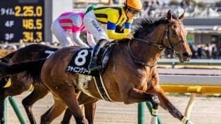 全姉はGI・2勝のソウルスターリング 良血馬がサンシャインSで4連勝狙う