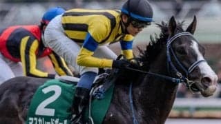 4月20日の皐月賞で赤枠は？ 郵政記念日＆ジャムの日にまつわるデータ