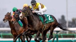 皐月賞は内枠勢が穴かも ニシノエージェントやジュタに注