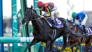 【皐月賞・馬体重】クロワデュノールは500kg(+4)、サトノシャイニングは496kg(+4)