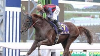 【韓国・YTN杯結果】高知のユメノホノオは3着 韓国最強馬グローバルヒットが完勝