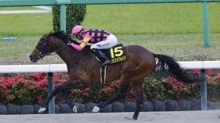 【京葉S】モレイラ騎乗 インビンシブルパパが鮮やかな逃げ切りを決める