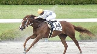 【阪神6R】新馬圧勝のフェデラーが2勝目をマーク