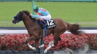 【利根川特別】ソレルビュレットが人気に応える