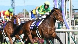 ダービーTR青葉賞・オークスTRフローラSなどJRA3重賞 香港チャンピオンズデーも/今週の競馬界の見どころ