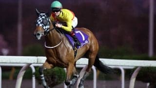 【水沢・留守杯日高賞】フリーダムが4馬身差完勝…笹川「上手に走れていた」