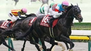 【マイラーズカップ登録馬】ジュンブロッサムなど10頭