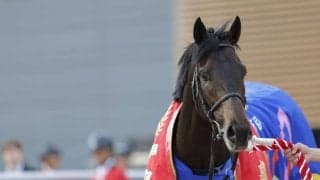 WIN5は34万円超の払戻し…皐月賞はミュージアムマイルが快勝