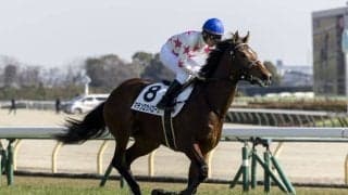 【青葉賞登録馬】マテンロウバローズなど13頭