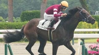 【フローラS登録馬】エストゥペンダ、ゴーソーファーなど21頭