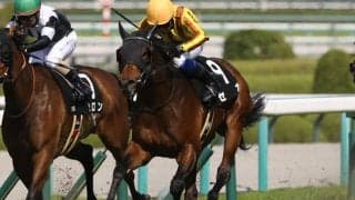 【マイラーズC見どころ】セオが重賞初制覇に王手