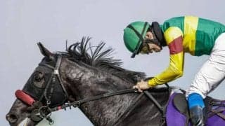 【中山GJ】売上は20億826万1900円で昨年より約1.4億円減少