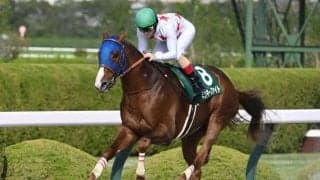 【アンタレスS】売上は38億7192万4100円で昨年より約13.3億円増加