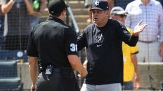「MLBは調査を行うべきだ」ジャッジの大飛球に“疑惑”の目「明らかにホームラン」　ファウル判定後にまたも…指揮官が激高で退場