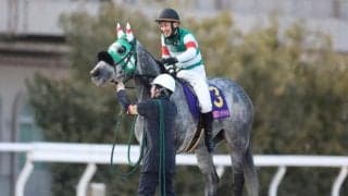 【浦和・しらさぎ賞枠順】昨年暮れに東京シンデレラマイルを制したフェブランシェは6枠6番