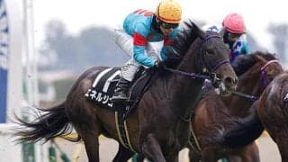 【青葉賞想定騎手】エネルジコはC.ルメール騎手、ファイアンクランツはJ.モレイラ騎手