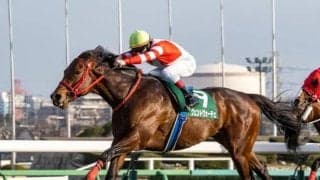 【先週のJRA抹消馬】短距離重賞2勝のヴェントヴォーチェ、今年のゴドルフィンMで3着のカズペトシーンなど