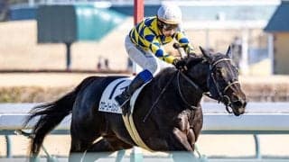 【フローラS想定騎手】グローリーリンクは松山弘平騎手、ブラックルビーは戸崎圭太騎手