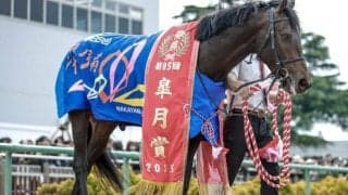 ミュージアムマイルが該当 リオンディーズ産駒の注目配合パターンとは？