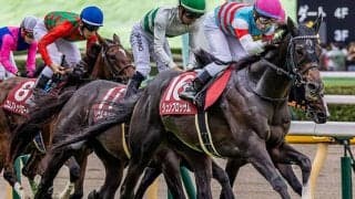 【マイラーズC想定騎手】ジュンブロッサムは武豊騎手、セオは岩田望来騎手