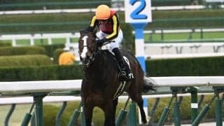 【青葉賞展望】唯一データをすべてクリアするゲルチュタールが中心