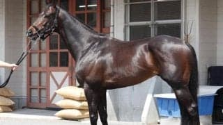 休み明けでも仕上がり良し マイラーズCで「適性、状態、そして相手関係的にも負けられない」一頭とは