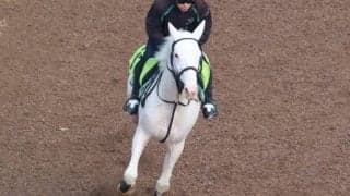 ブチコの2023(マルガ)など、先週の入厩情報/栗東トレセンニュース