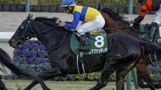 「エア軍団」が5年3カ月ぶりのJRA重賞勝ちなるか マイラーズCでレース史上最高齢V狙う