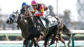 【フローラS予想オッズ】ブラックルビーが予想1番人気