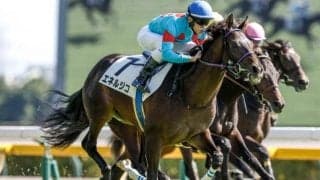 【青葉賞予想オッズ】エネルジコが予想1番人気