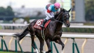 【マイラーズC予想オッズ】ジュンブロッサムが予想1番人気