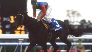 唯一のGIウイナーが728日ぶりに見せた意地 ライスシャワー2度目の天皇賞(春)制覇から30年