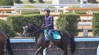 ベレシートなど、先週のゲート試験/栗東トレセンニュース