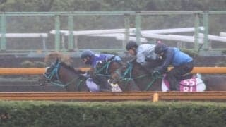 プラダリア、天皇賞(春)1週前追い切り速報/栗東トレセンニュース