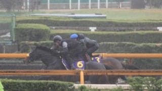 シュヴァリエローズなど、天皇賞(春)1週前追い切り速報/栗東トレセンニュース