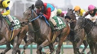 23年フラワーカップ覇者のエミューが登録抹消 今後はノースヒルズで繁殖馬に