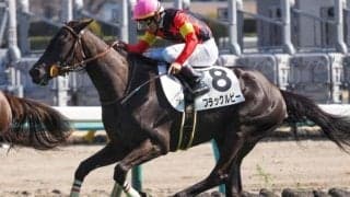 レース史上初の無敗戴冠なるか フローラSに2戦2勝のキズナ産駒が参戦