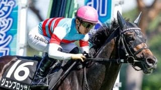 【マイラーズC展望】重賞勝ちの実績馬ジュンブロッサムが巻き返しを狙う